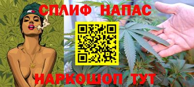 мдпв Нальчик