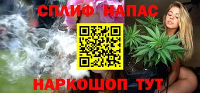 мдпв Нальчик