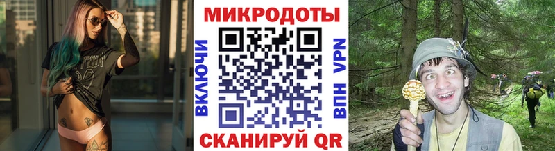 даркнет формула  наркота  Сорочинск  Псилоцибиновые грибы Psilocybe 