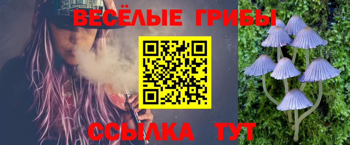 Псилоцибиновые грибы мухоморы Сорочинск